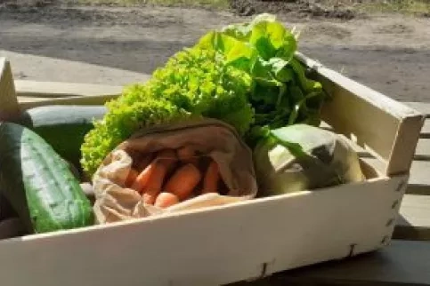 Paniers Bios Potager de saint julien