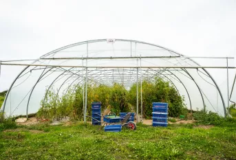 Serre du potager de saint julien