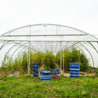 Serre du potager de saint julien
