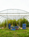 Serre du potager de saint julien